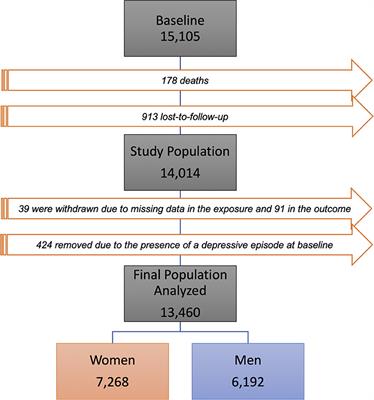 Social Capital and Depressive Episodes: Gender Differences in the ELSA-Brasil Cohort